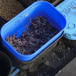 Cresta Bait Strainer 11 Cresta Bait Strainer -Hengels Verkoopwinkel 1909064508