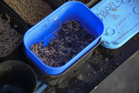 Cresta Bait Strainer 5 Cresta Bait Strainer - Afbeelding 5